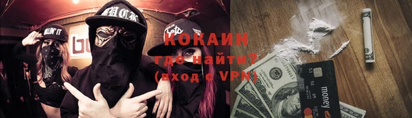 прущие грибы Абинск