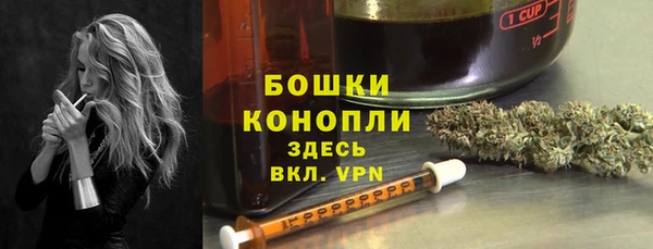 прущие грибы Абдулино