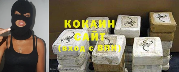 прущие грибы Абдулино
