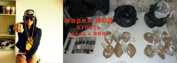 прущие грибы Абдулино