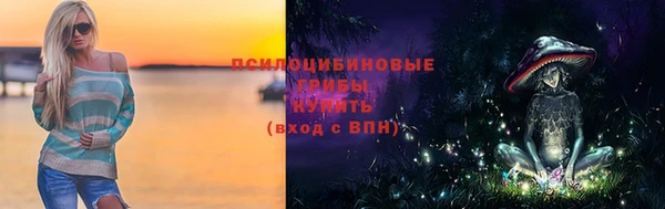 прущие грибы Абинск