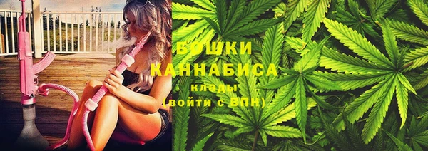 прущие грибы Абдулино
