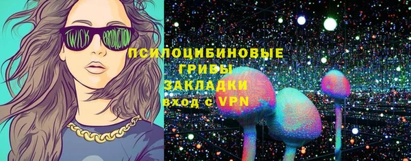 ECSTASY Осинники