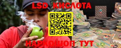 винт Дмитров