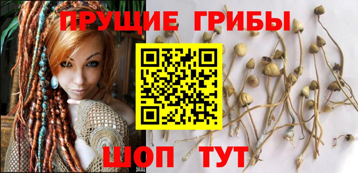 Галлюциногенные грибы GOLDEN TEACHER Заринск