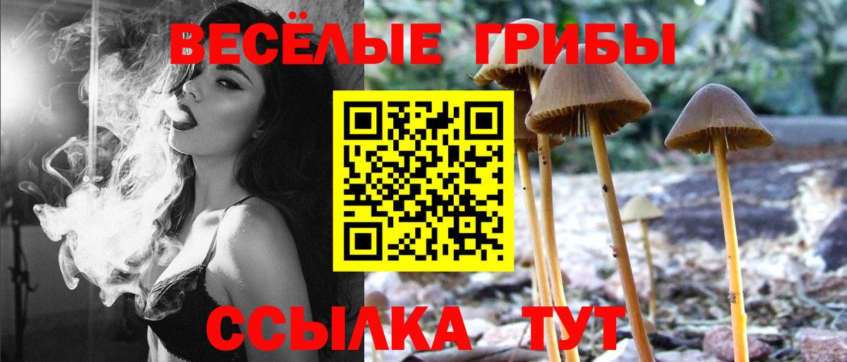 Галлюциногенные грибы мухоморы  Вход с VPN  Заринск  Галлюциногенные грибы MAGIC MUSHROOMS 
